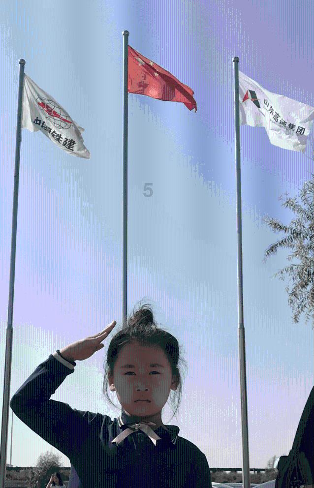了解太阳花种子需要浸泡吗太阳花种子种植之前需要怎么做,最全面的知识星球平台